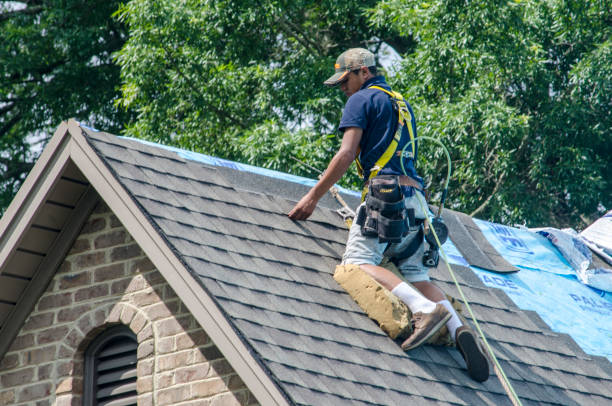 Best Roof Gutter Cleaning  in El Dorado, KS